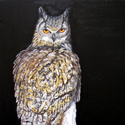 Serie de Rapaces