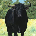 Toro Negro